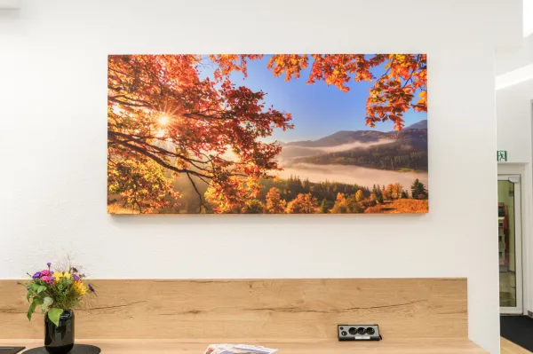 20241014-CEWE-Akustik-Wandbilder-022