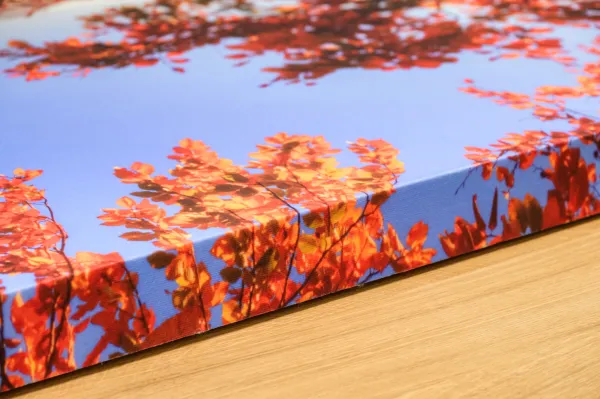 20241014-CEWE-Akustik-Wandbilder-049