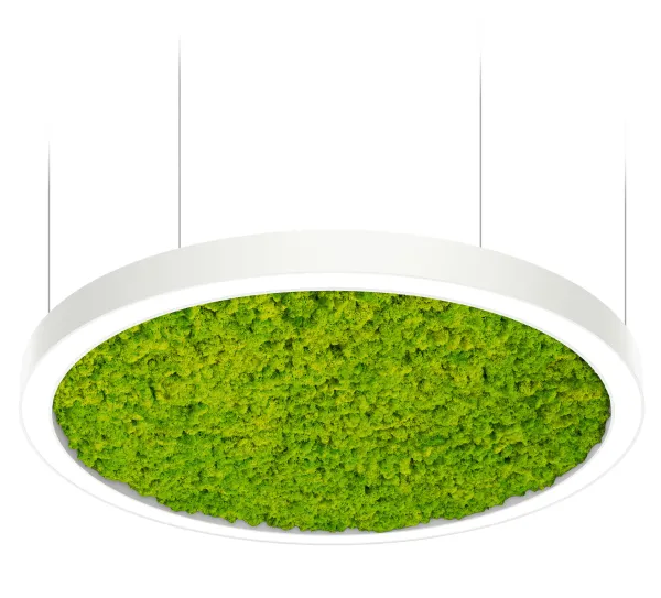 Acousto_round_wh_mosswall_wasabi_Intra-lighting