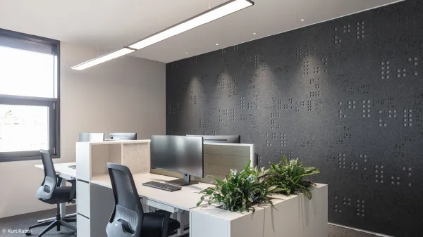 elpro-headquarter-graz-austria-office-lighting-acoustic-xilence-xal-20