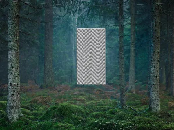 BAUX-Into-the-wild-2400x1800-18