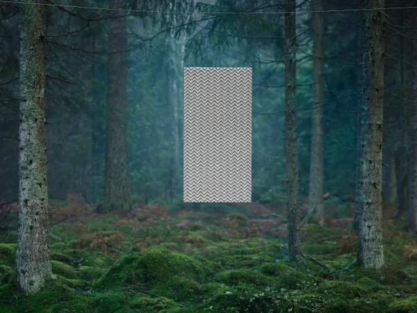 BAUX-Into-the-wild-2400x1800-19