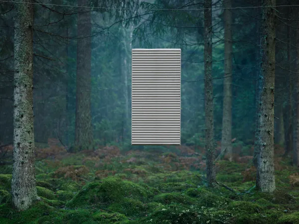 BAUX-Into-the-wild-2400x1800-20